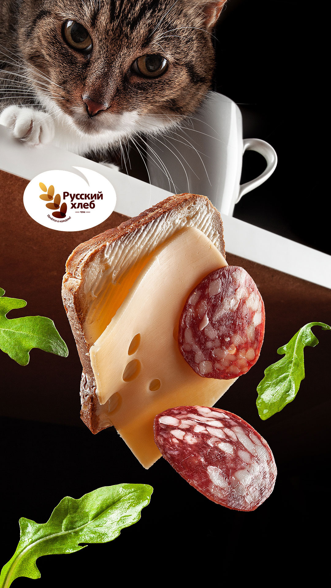 ПОРТФОЛИО. Главная