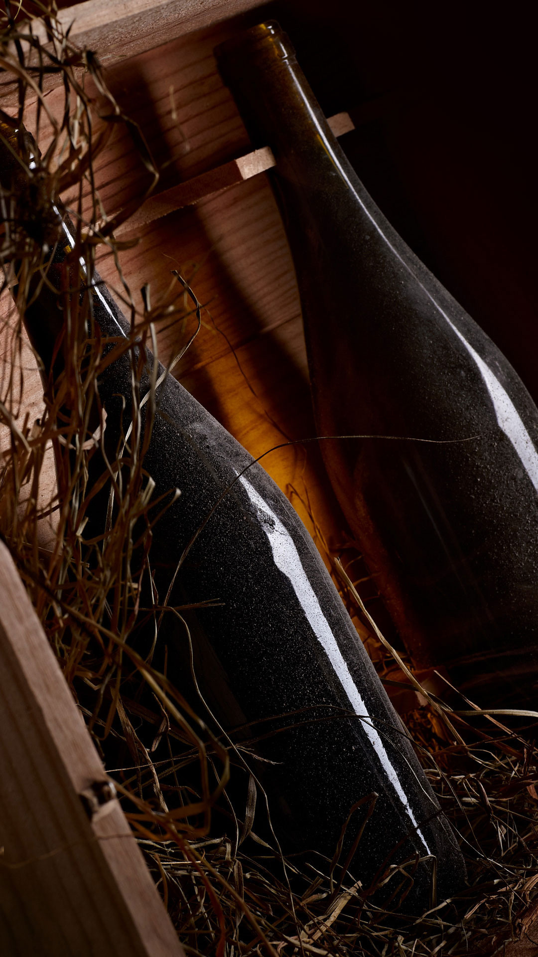 ПОРТФОЛИО. Главная