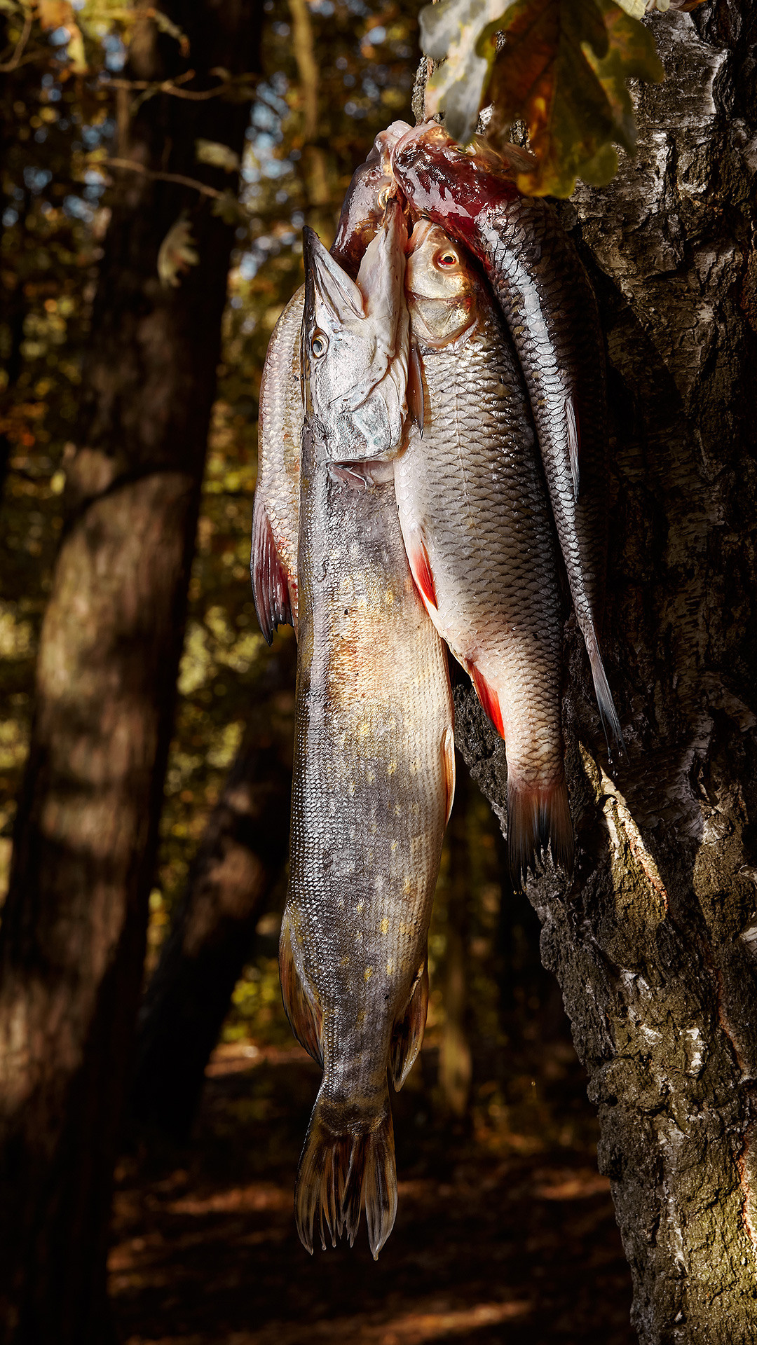 ПОРТФОЛИО. Главная
