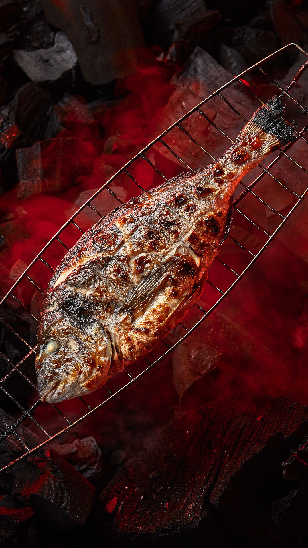 ПОРТФОЛИО. Главная