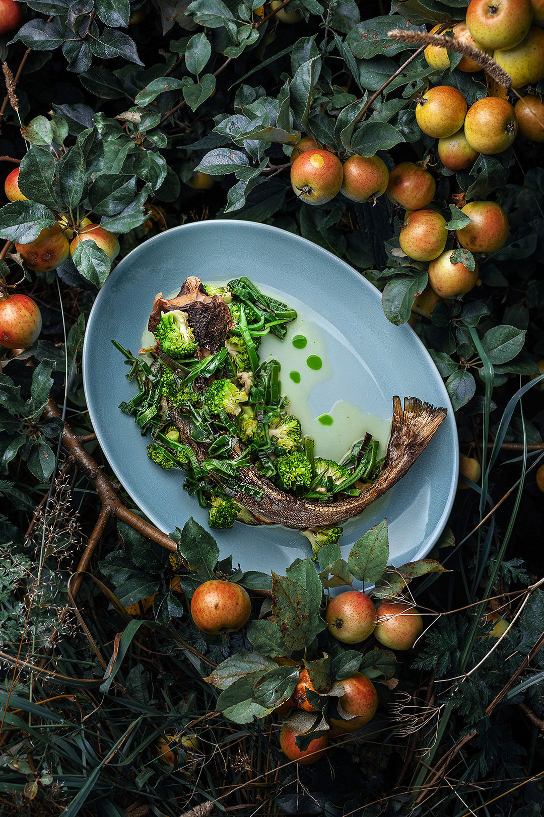 ПОРТФОЛИО. Главная