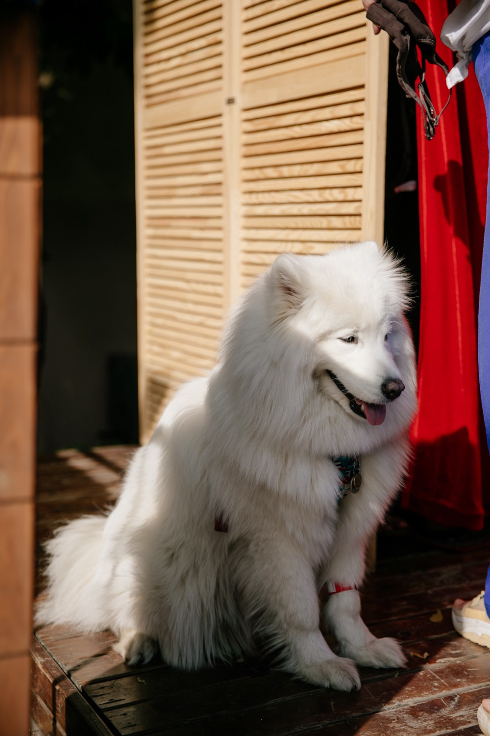 17–18 июня 2023 в пространстве YAUZA / День 1. Фотоотчеты «Ламбада-маркета»