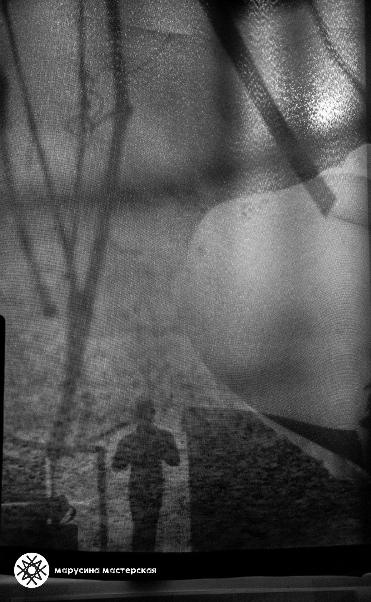 Пример работы с композицией в фотографии