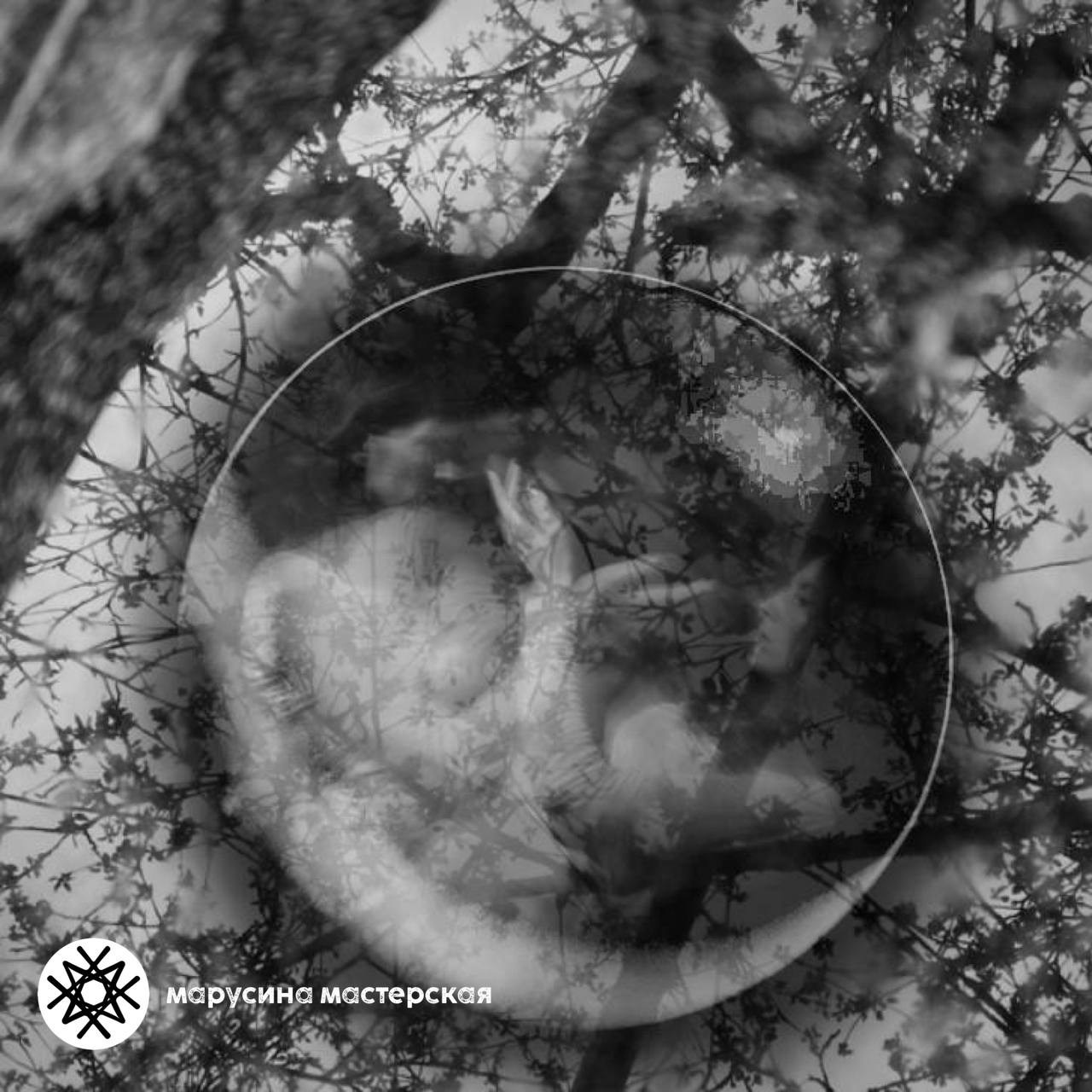 Алёна Лучинина