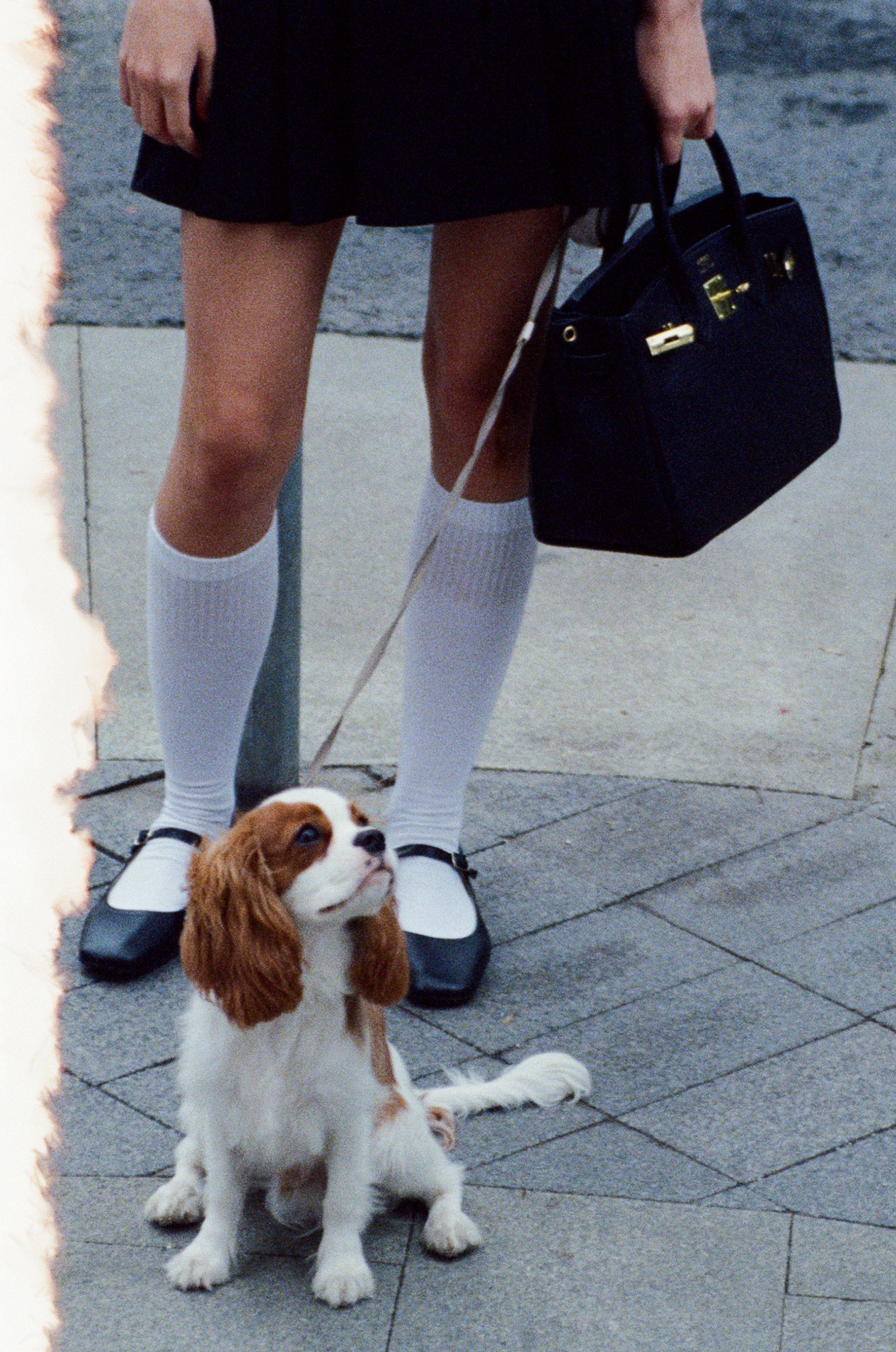 № 11. Продюсер фото и видео контента