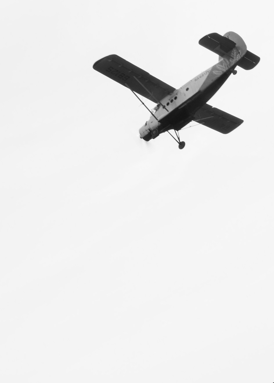 Соня и Дима СПб. Свадебный и семейный фотограф и видеограф, Крым, Москва, Санкт -Петербург