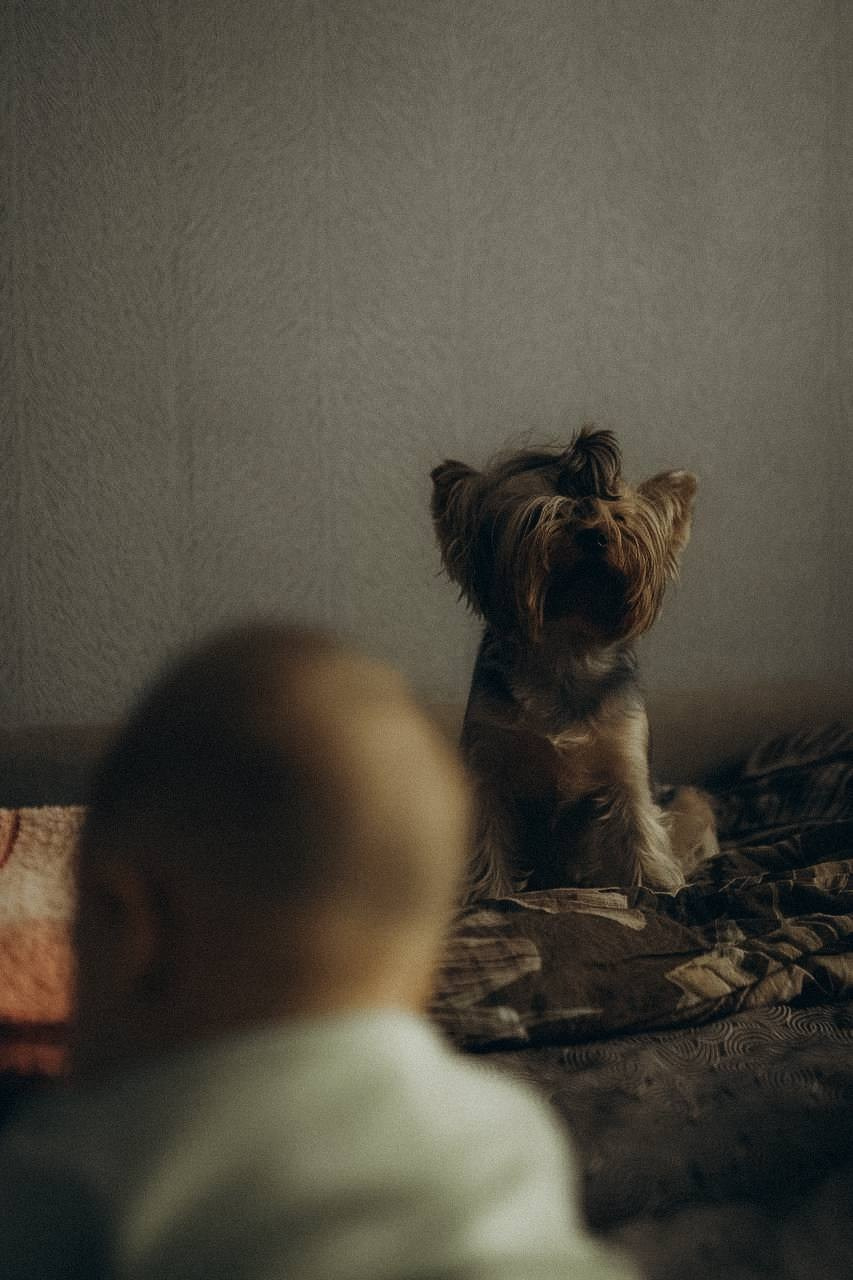 Домашняя съемка. Ph.nataluuna ФОТОГРАФ СЕРГИЕВ ПОСАД