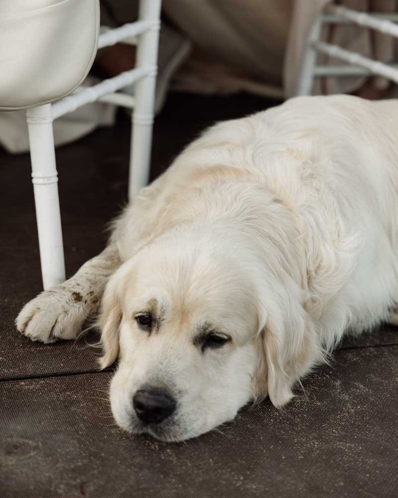 Любовь и ветер. Владимир Киселев — свадебный фотограф в Саратове, Москве и по всему миру