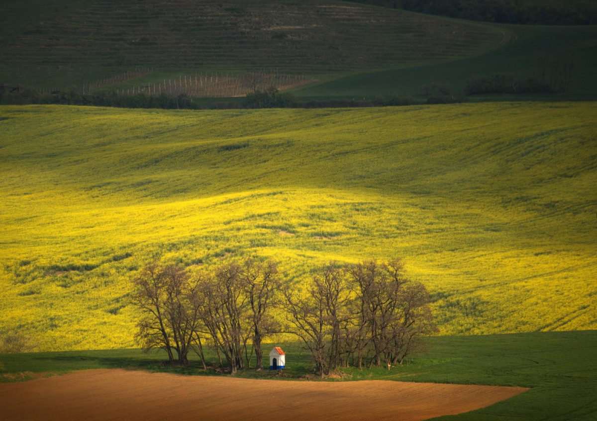Моравия. Портретный фотограф в Москве и Московской области Марина Савчиц