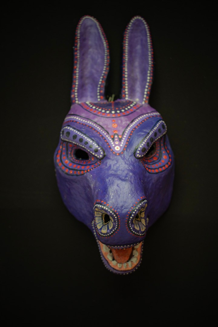 Krishna Janmashtami. Самид Али, фотограф из Санкт-Петербурга, Россия