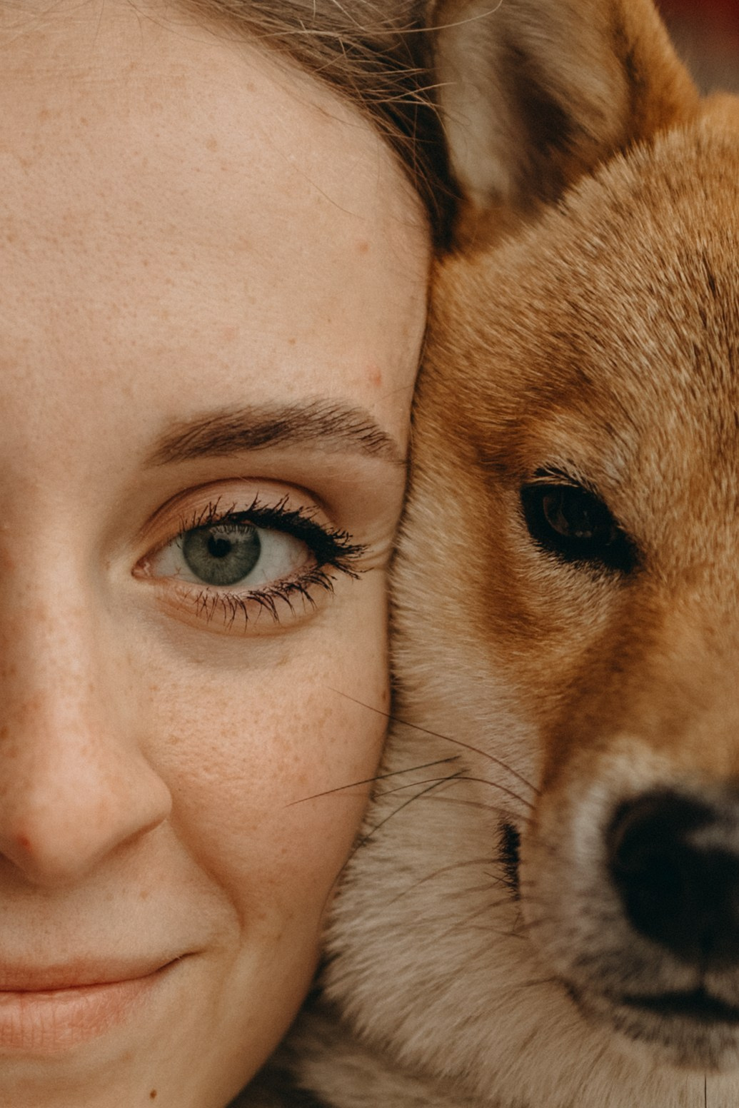 Сириус и его семья. Фотограф — Анималист | Санкт-Петербург