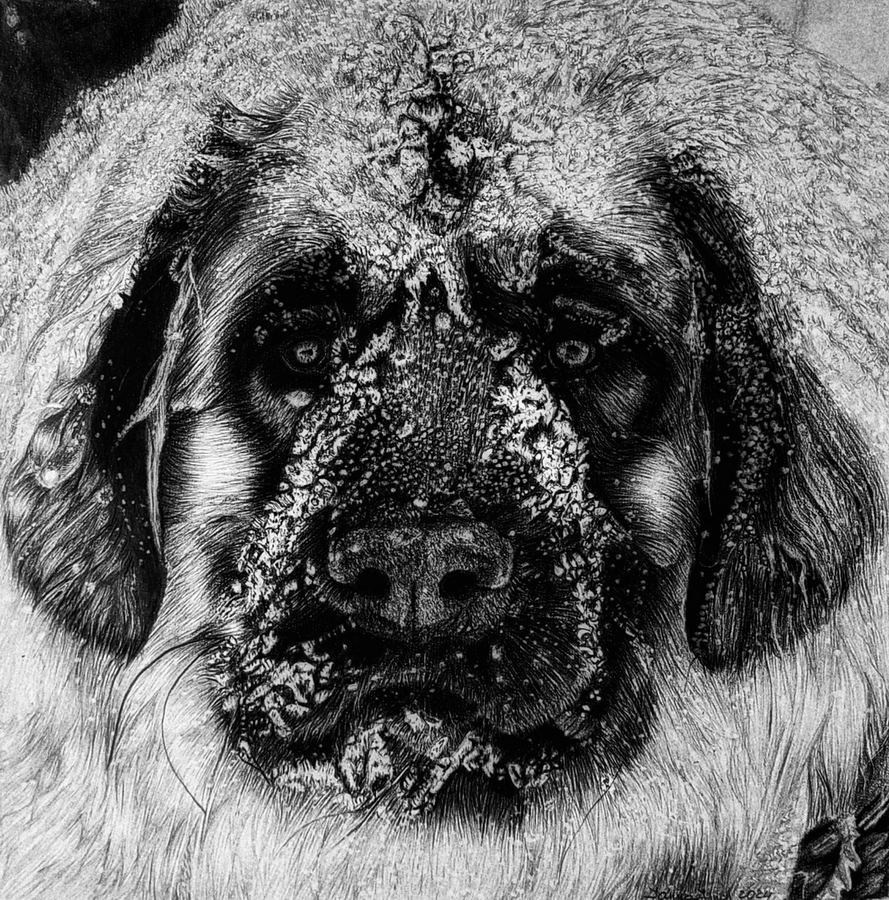 Финч Татьяна Николаевна. Галерея участников Российской Премии Искусств