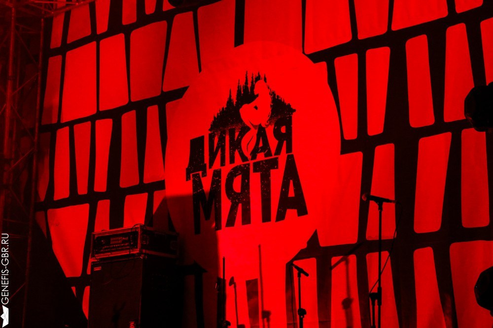 Фестиваль Дикая Мята. Репортажный и интерьерный фотограф Александра Солдатова