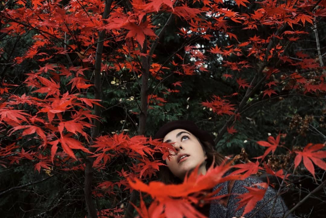 Фотограф Анастасия Дроздова