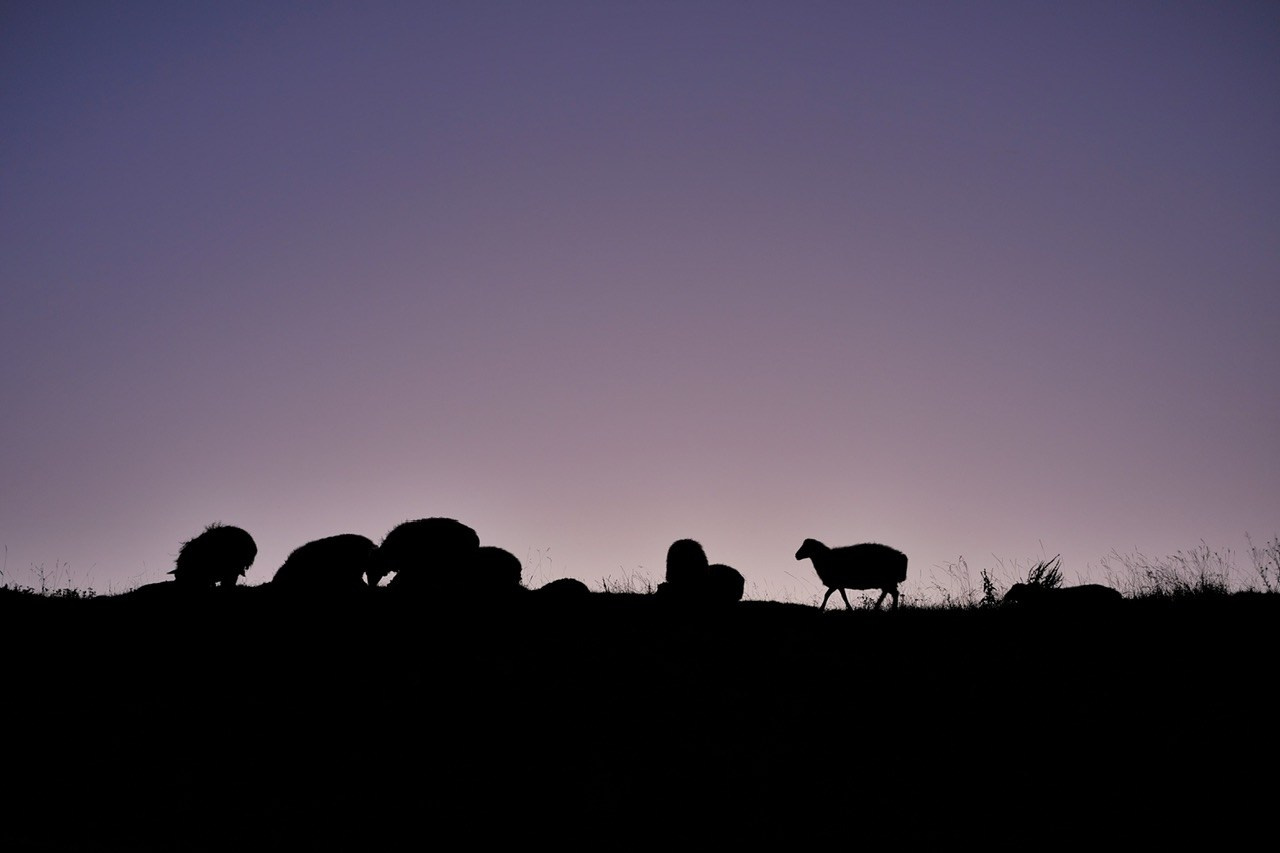 Дагестан. Фотограф Евгений Андреев