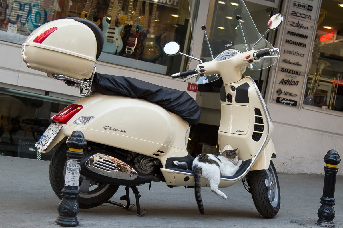 Стамбул, Турция, 2014. Фотограф Василий Буланов