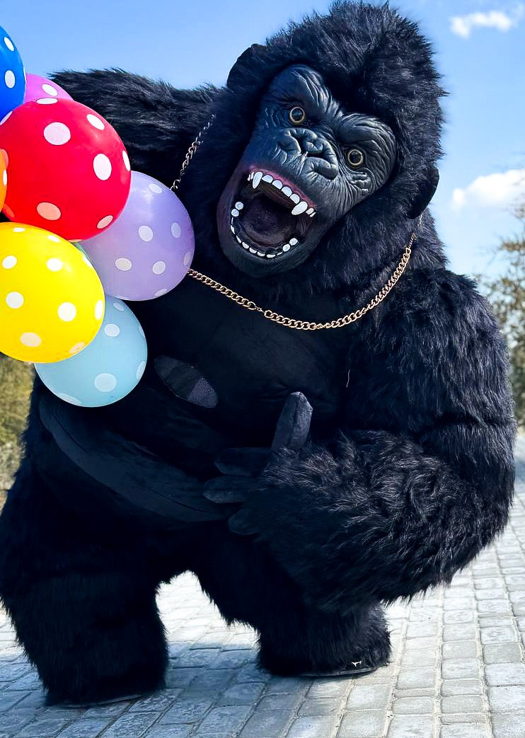 Эксперсс поздравление.ростовые куклы, медведь, панда, горилла. Организатор праздников. Ведущая Марина Гребенникова
