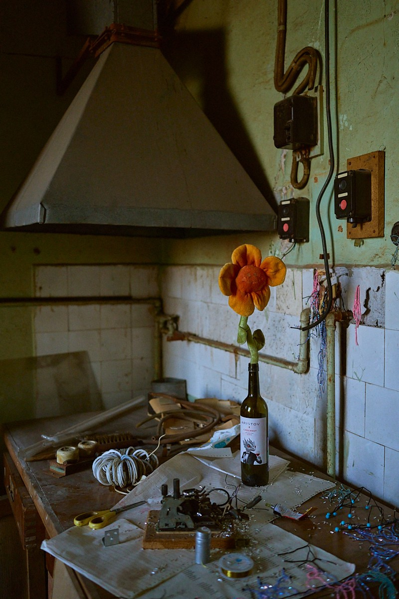 Фрагменты. Болотная Биеннале 2024. Иван Кобяков