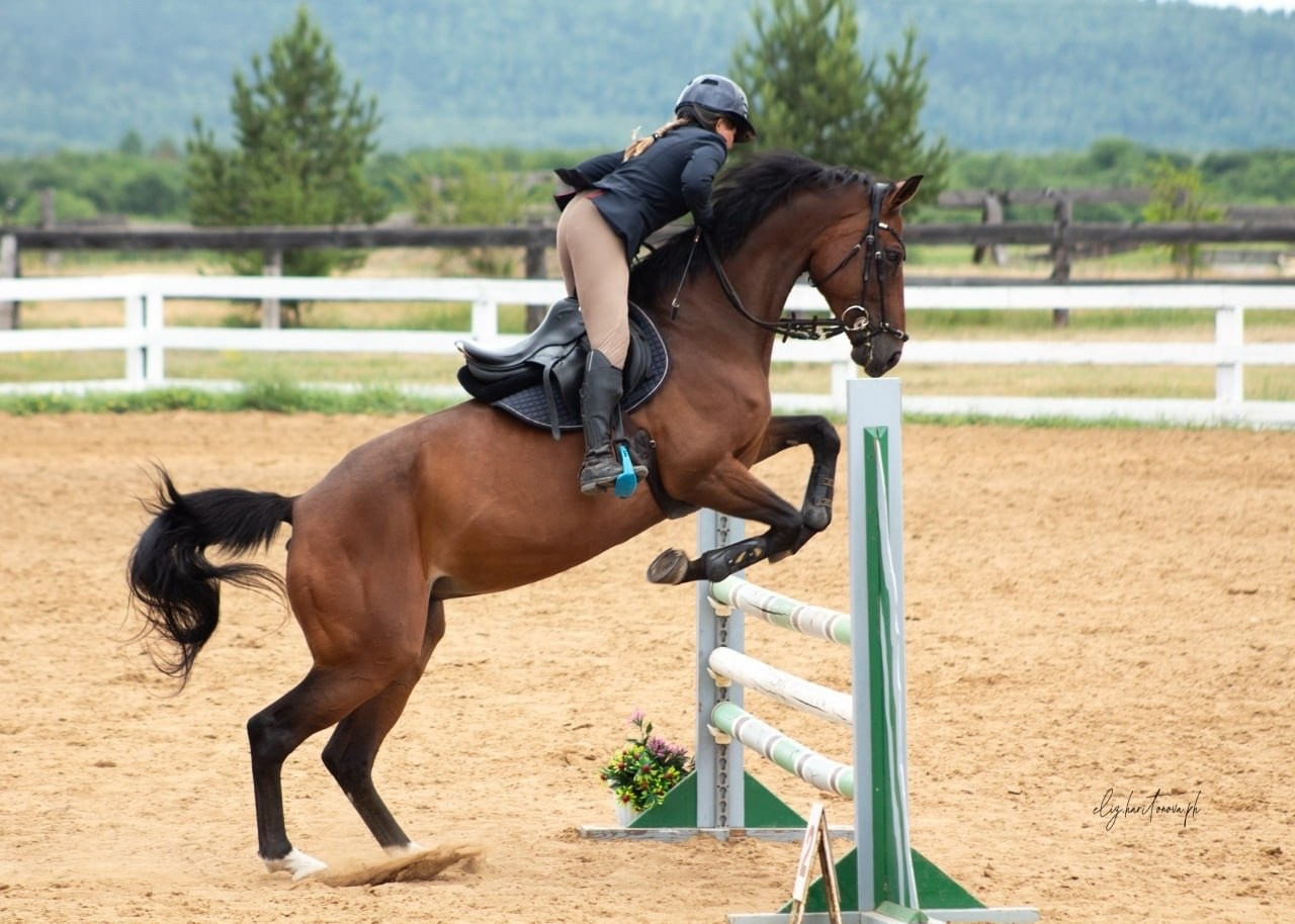 Соревнования. Фотограф в Иркутске, Харитонова Елизавета