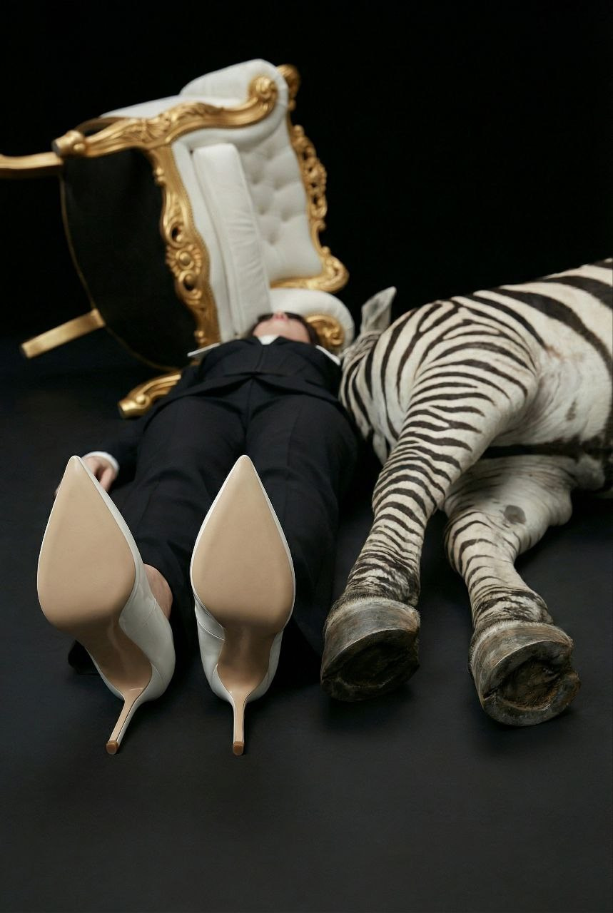 Зебра. Шаблоны и дизайны выпускных альбомов и фотокниг