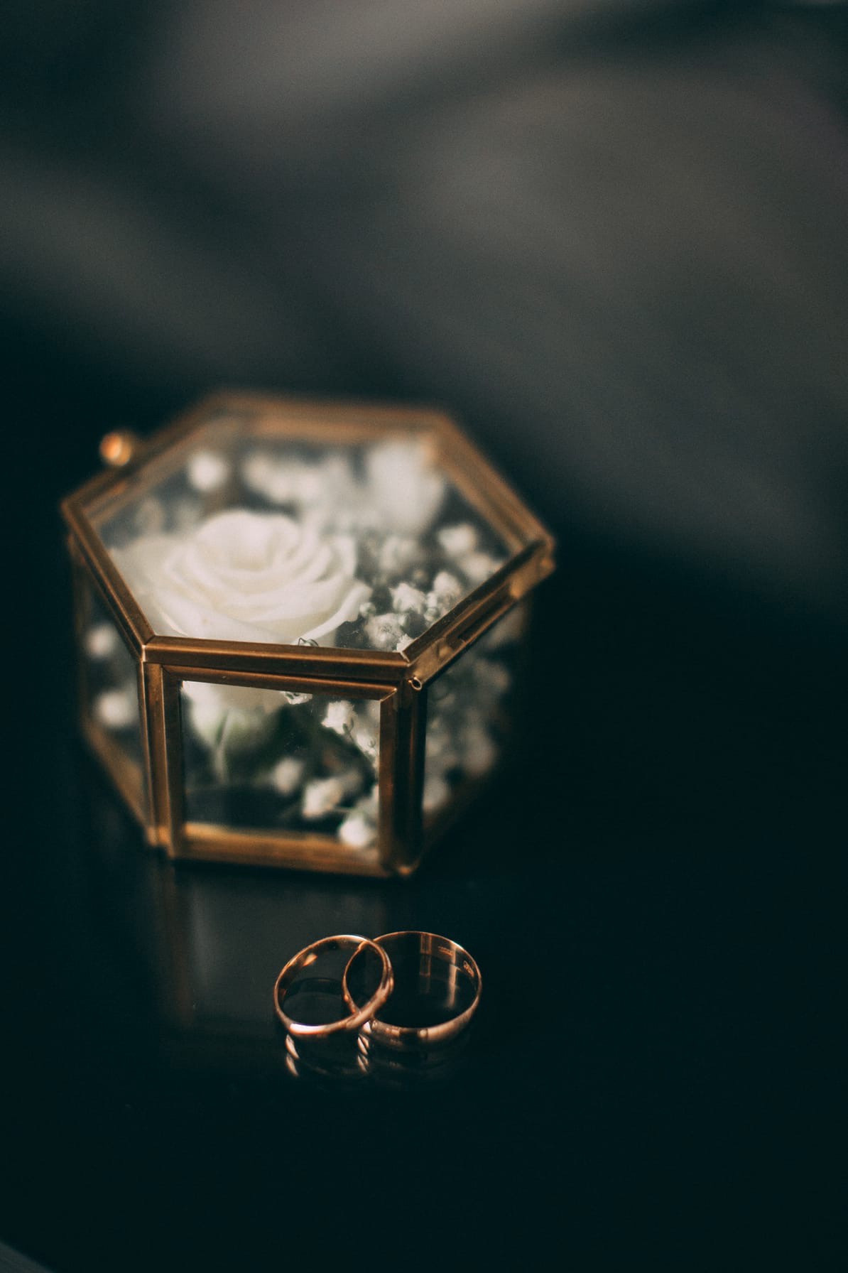 Свадебные. Семейный фотограф Омск l Виолетта Журавлева