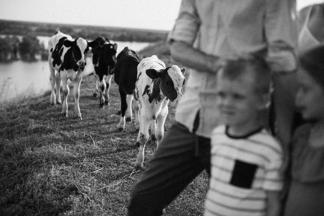 Прогулочные. Семейный фотограф Омск l Виолетта Журавлева