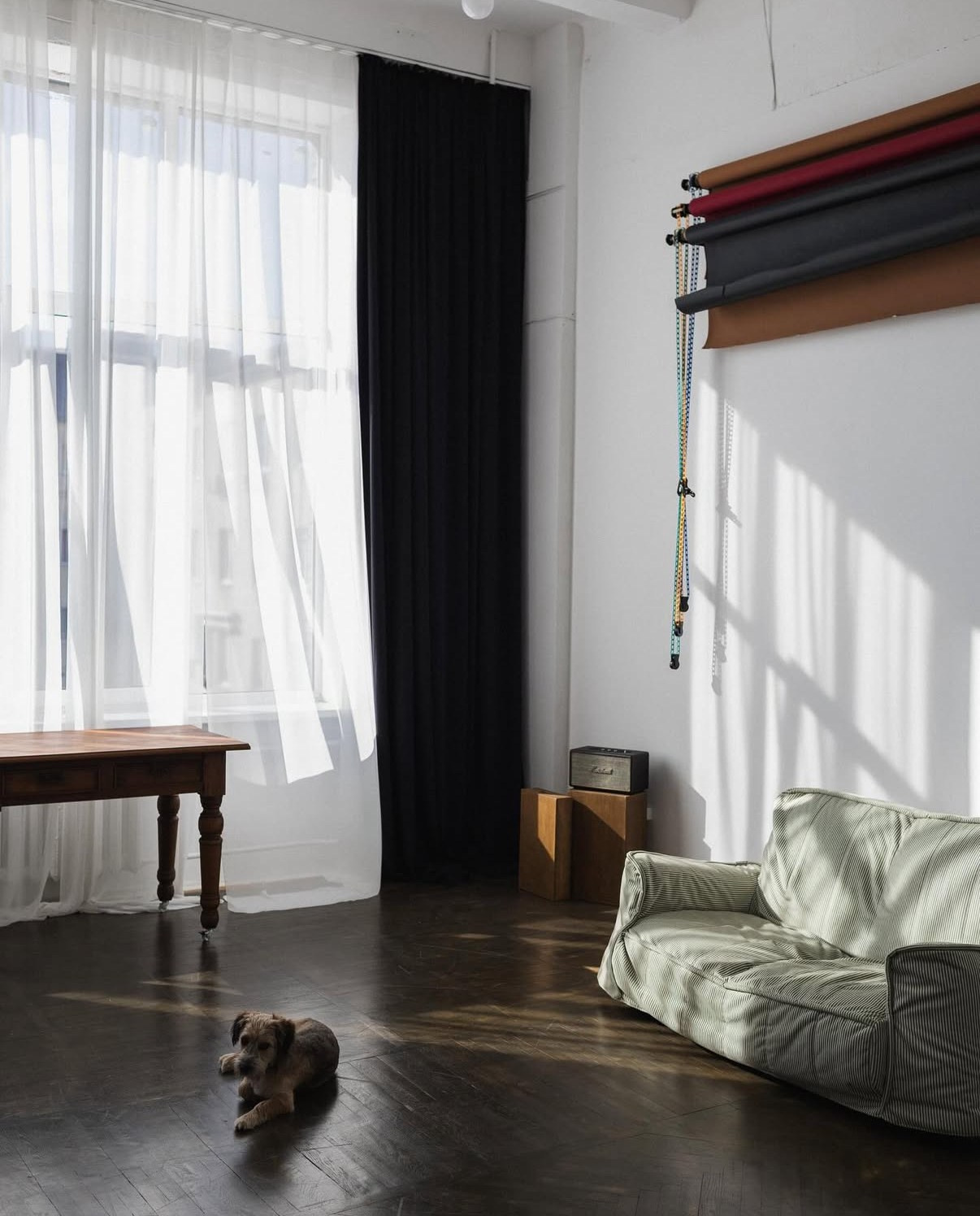 Фотостудии. Семейный и детский фотограф в Бресте Дария Поляк