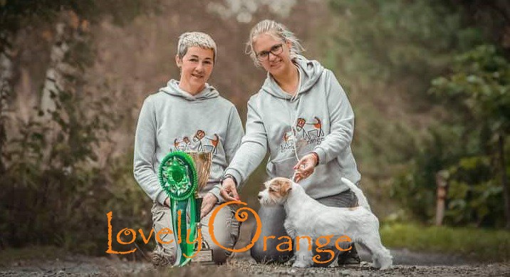 Lovely-Orange питомник джек рассел терьеров