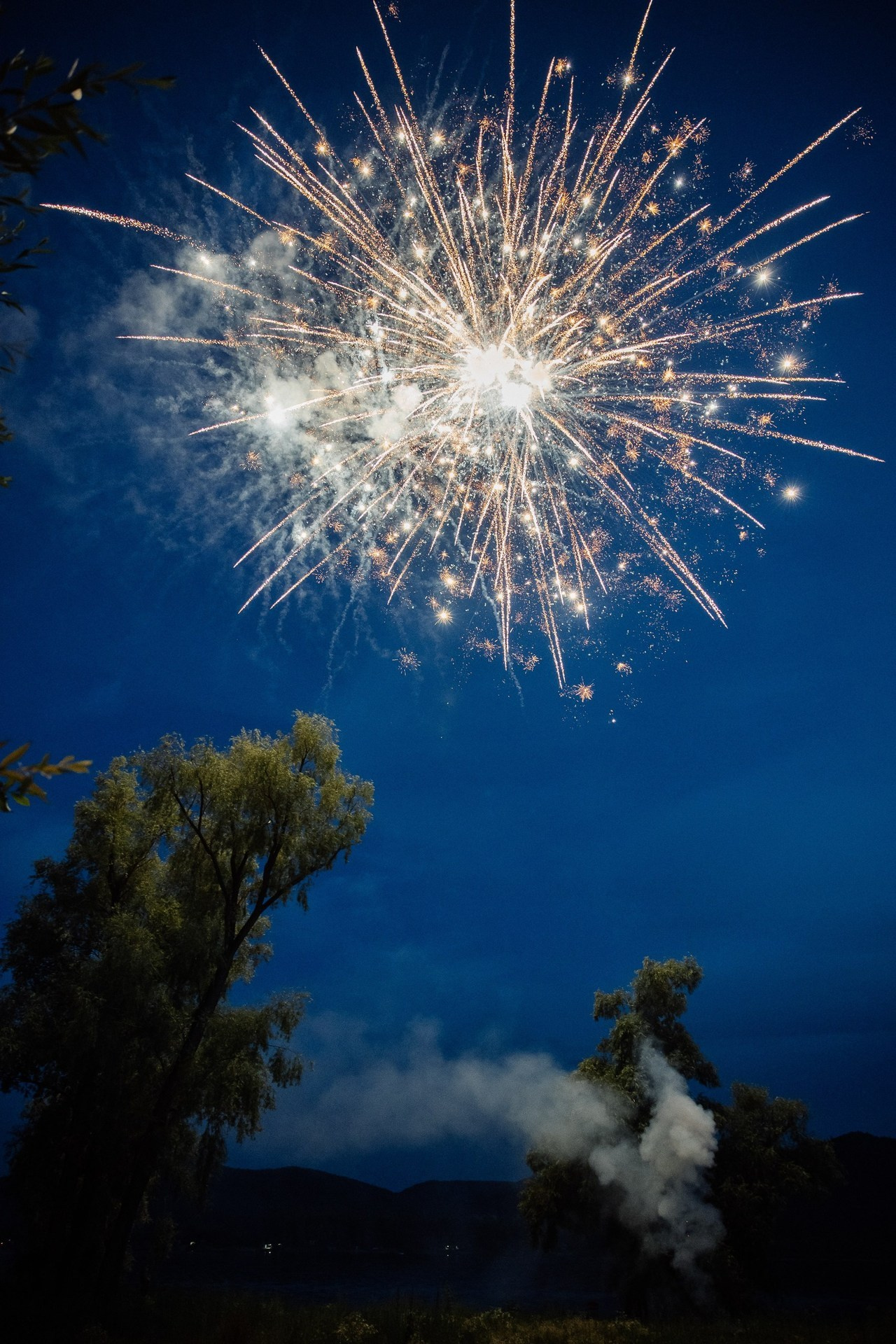 Отзывы о фотографе Марии Донцу. Семейный и свадебный фотограф в Самаре и Кинеле Мария Донцу