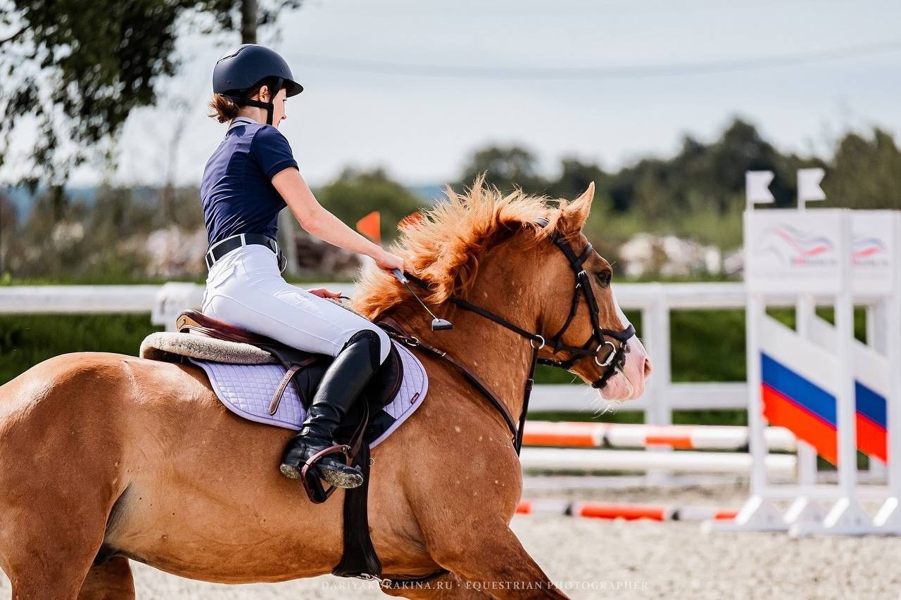Соревнования по конкуру в МКК ВОЛЬТ — ГОРТЕНЗИЯ-ТУР. Конный фотограф Куракина Дарья • Фотосессии с лошадьми