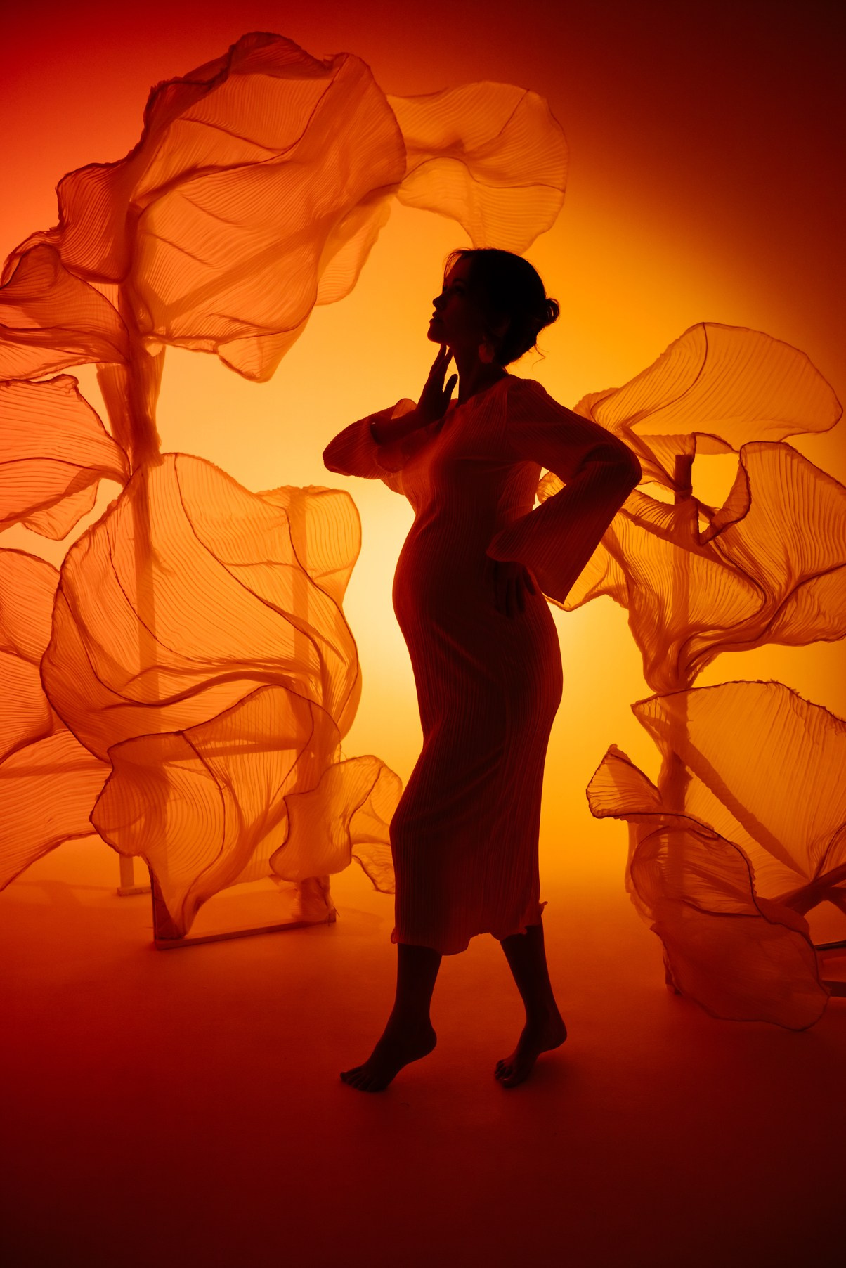 Беременность. Циклорама с вуалью. Свадебный и сеейный фотограф в Санкт-Петербурге Елена Худякова