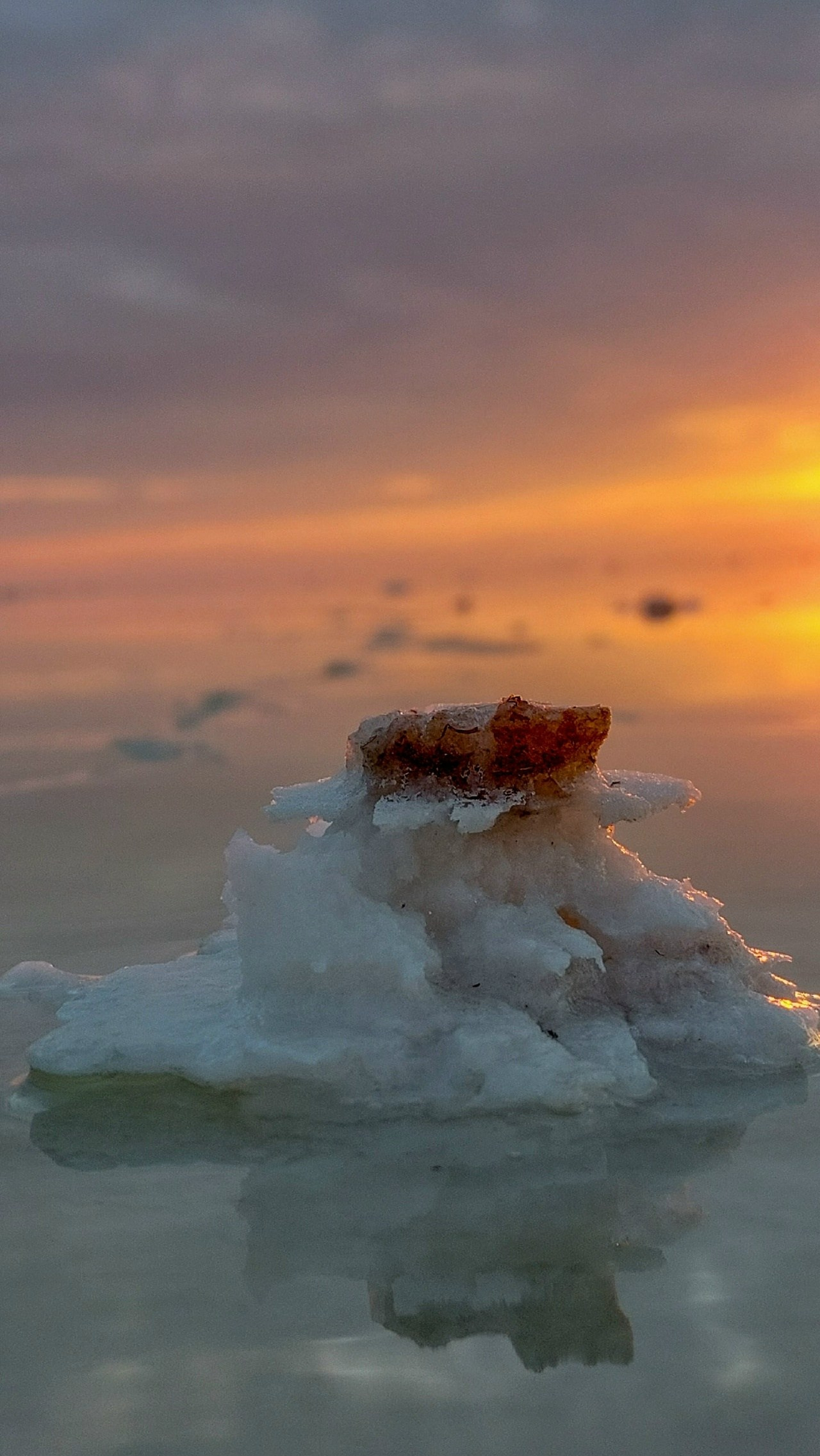 Lake Elton. The Kingdom of Salt. Travel photographer Max Muze