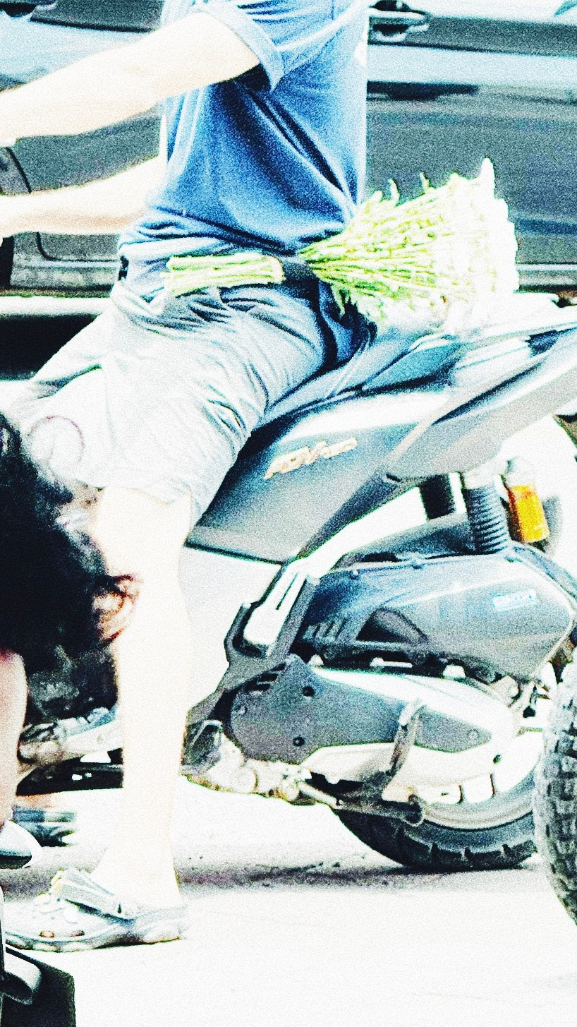 Elements. Carolinetru