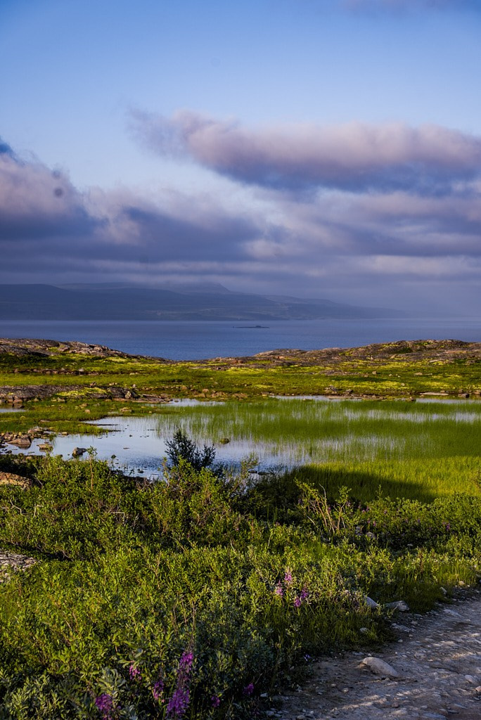 Путешествие на Север в 2024 году. Внедорожные путешествия — OFFROADTRIP
