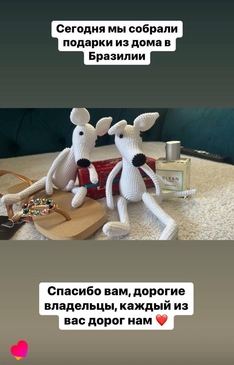 Welcome. Профессиональный питомник левреток РКФ/FCI ASTI SAPPHIRE 💎 Сочи|Санкт-Петербург