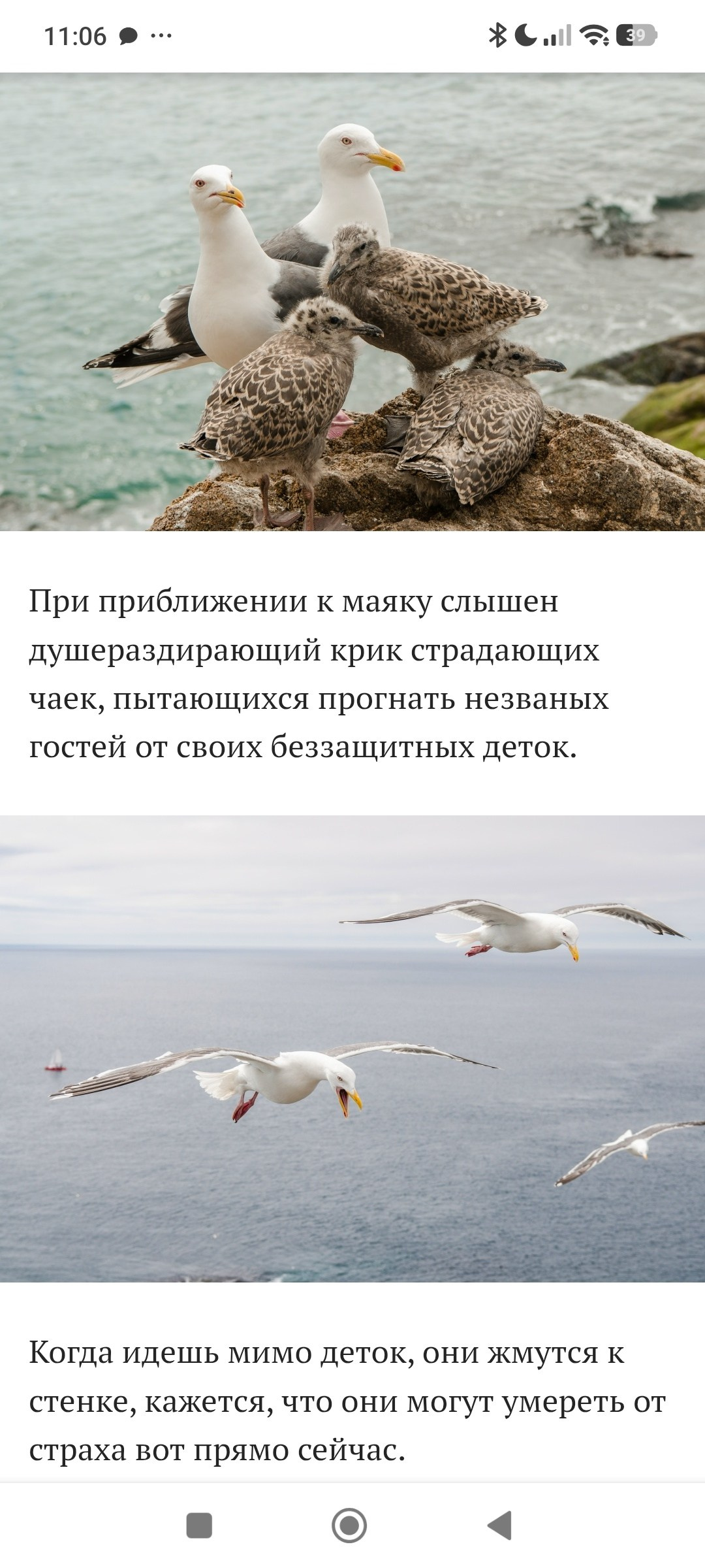 победитель фотоконкурсов