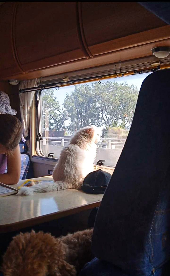 ИНТЕРЬЕР КЕМПЕРА. Кемпердлявас — аренда Автодома для путешествий по Белоруссии! Путешествуйте с комфортом!