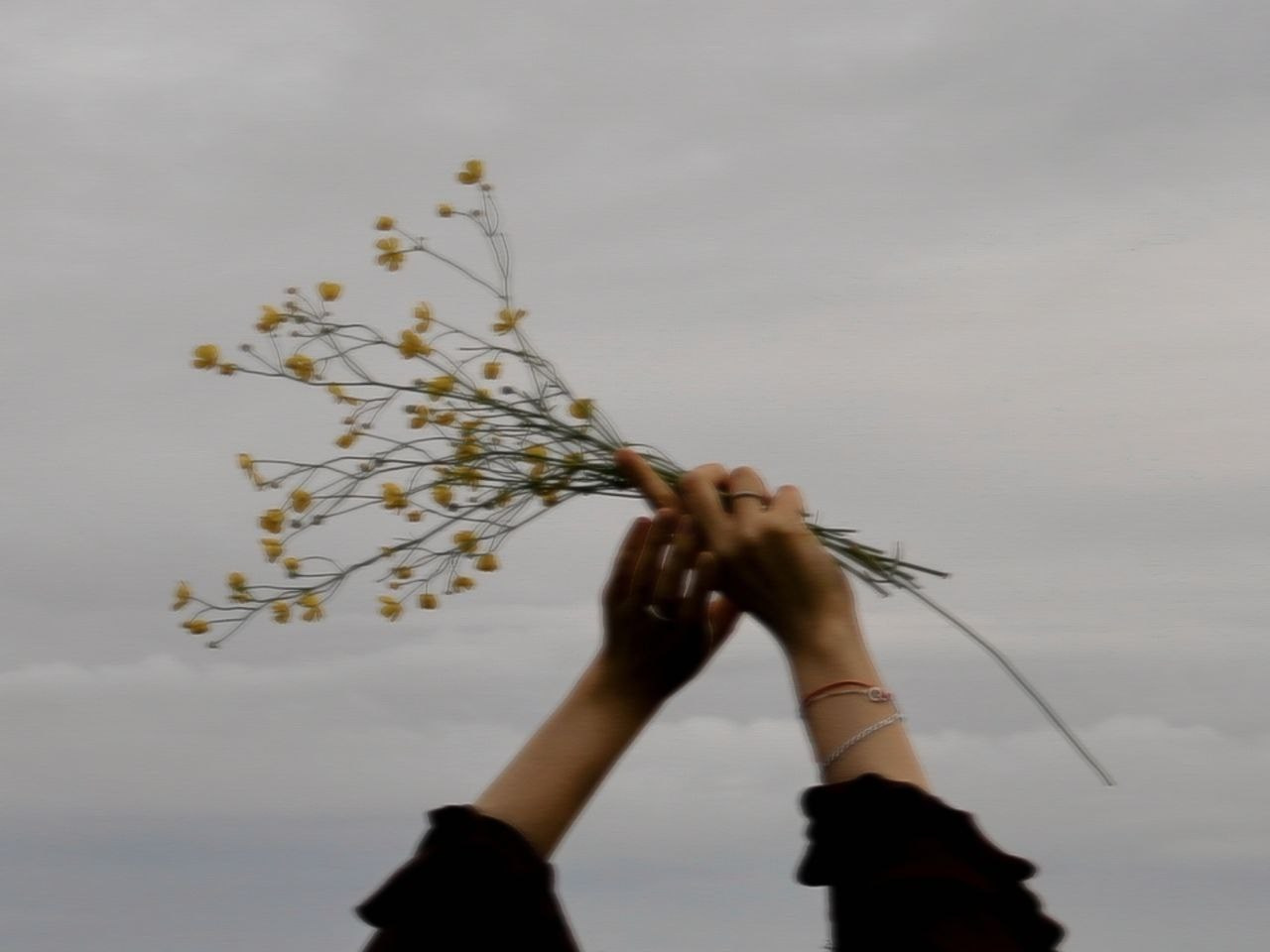 Контакты. Фотограф из Санкт-Петербурга/Катерина Зайцева