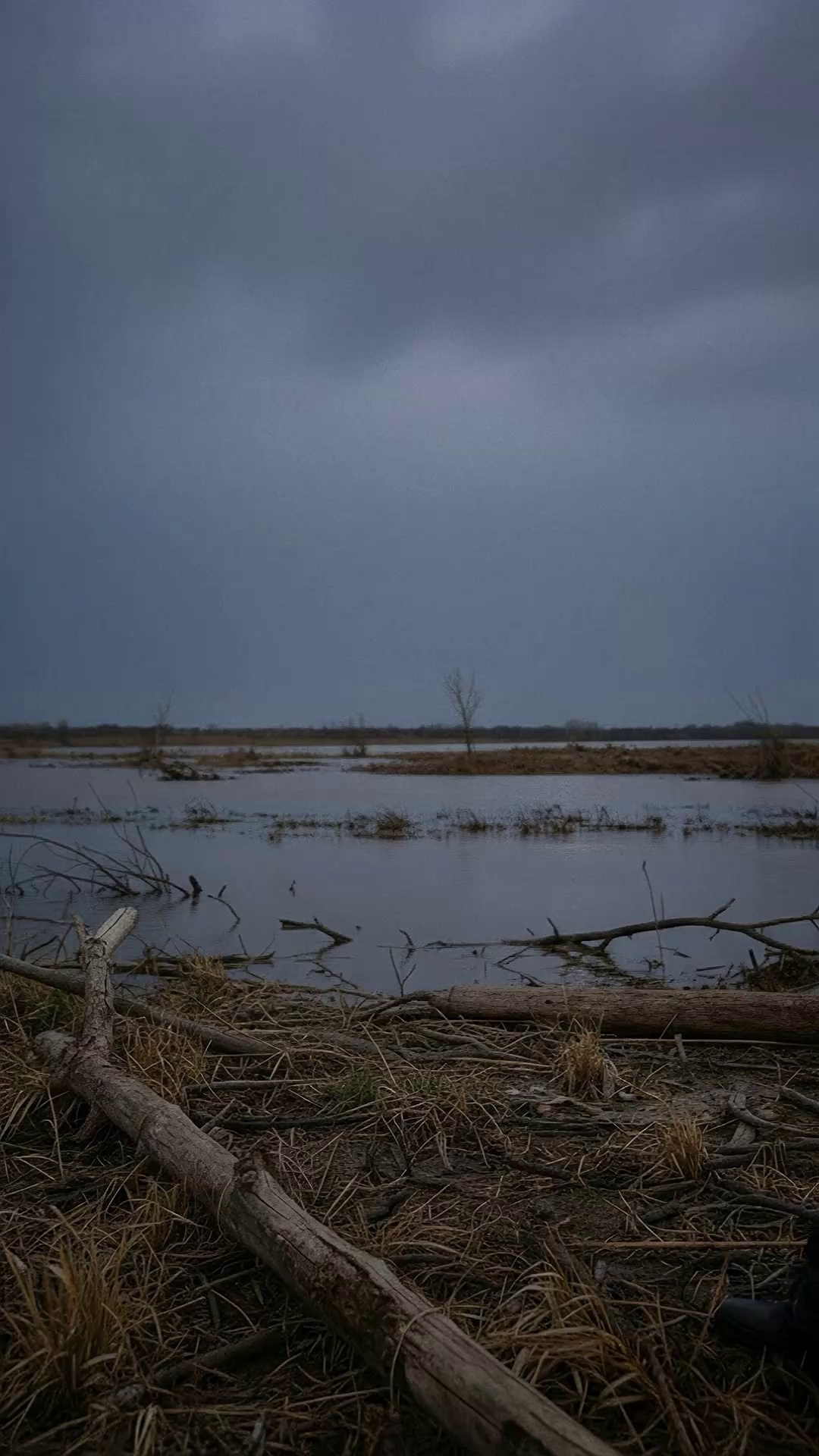 AI. Я Саша, креативный продюсер и арт-директор из Москвы. Придумываю, собираю и запускаю визуальные проекты