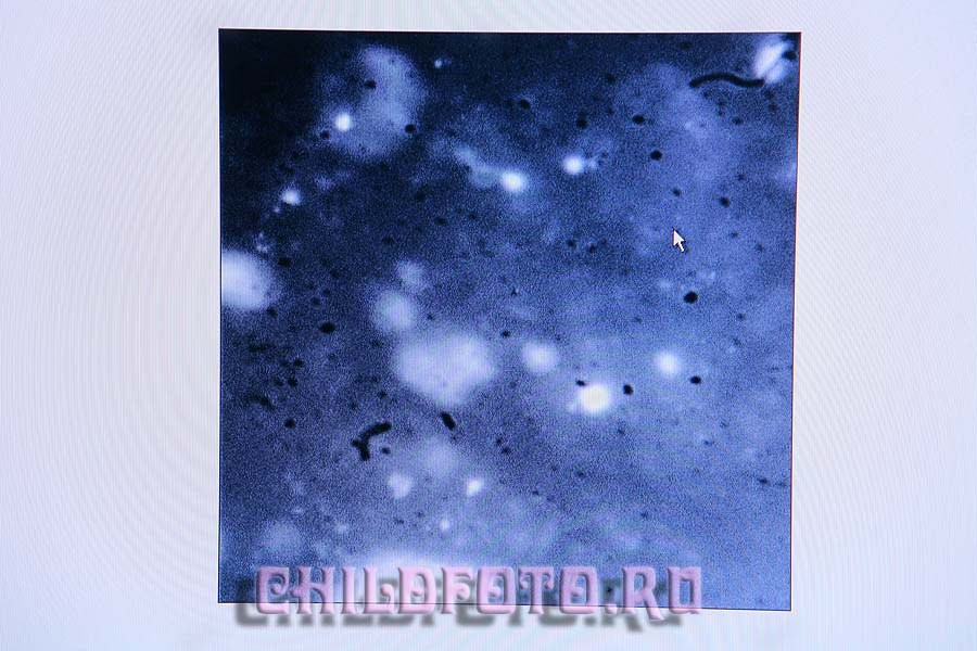 Институт Белка г. Пущино. Skazka.wfolio.pro