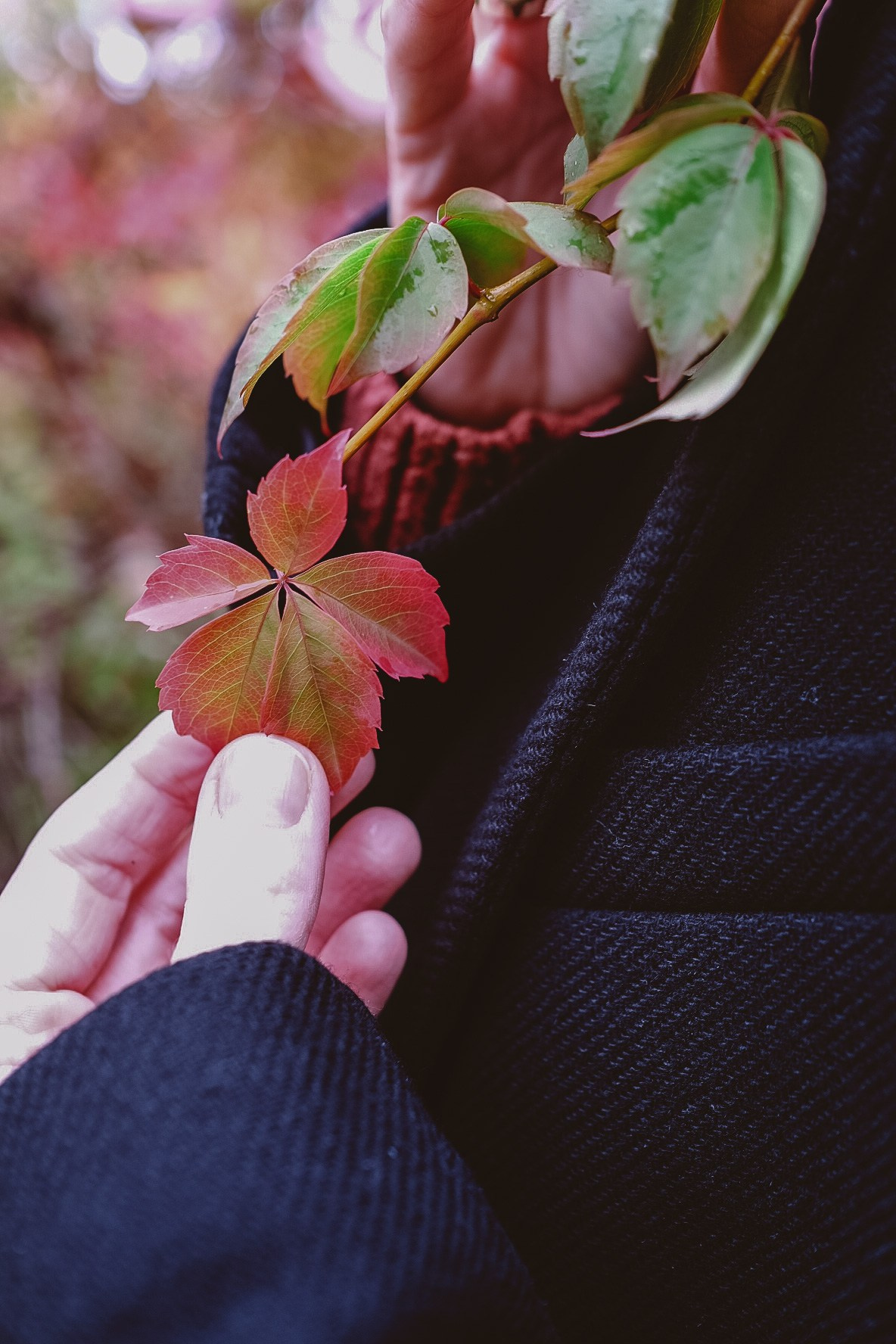 Анастасия. Семейный фотограф Москва и Домодедово Ольга Игнатова