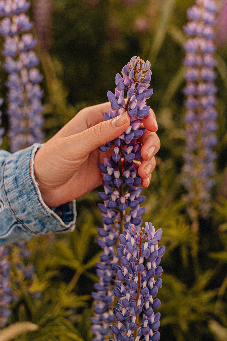 <3. Портретный и Семейный фотограф в Санкт-Петербурге Rocket Alice