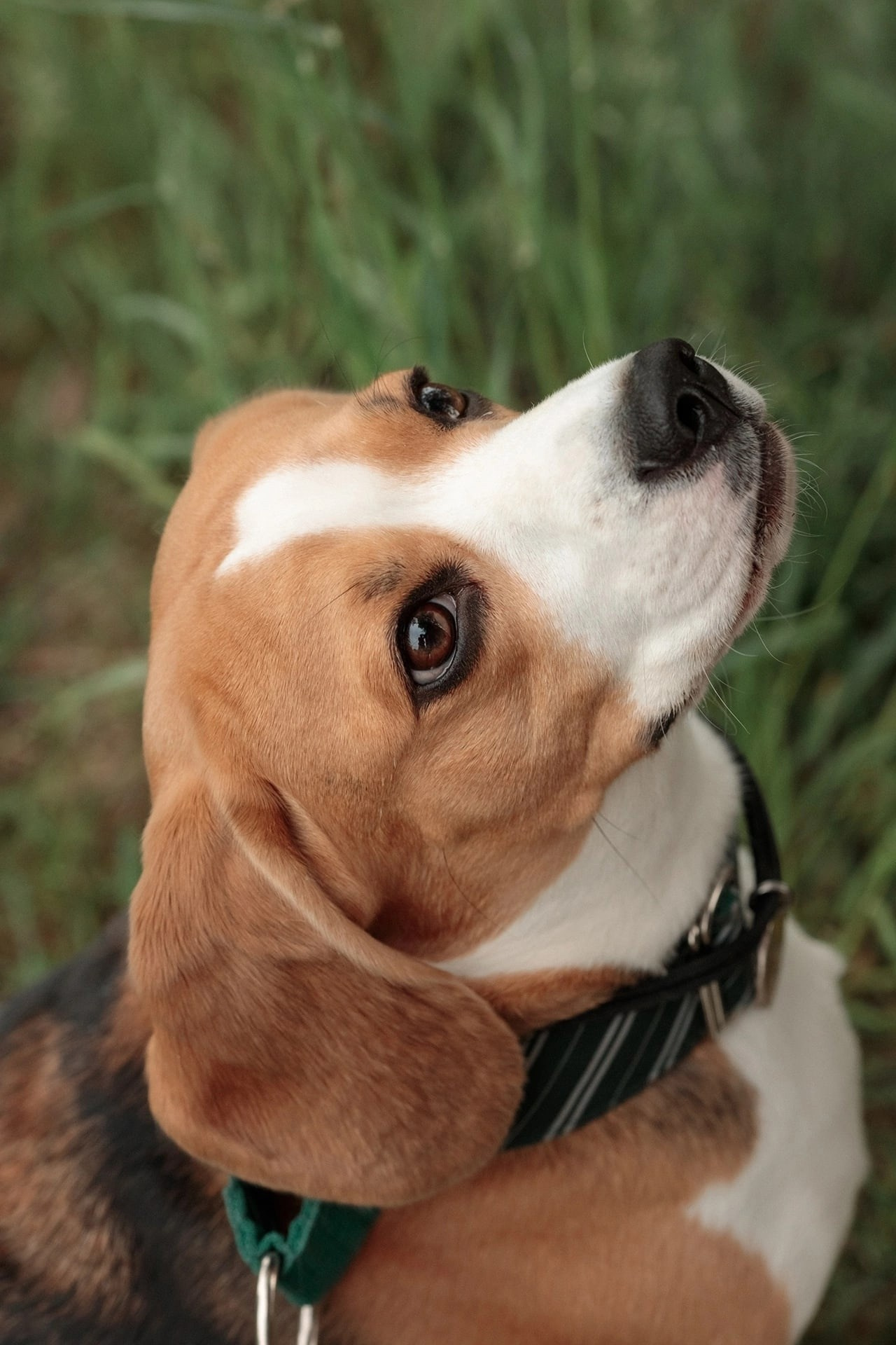 Дети. Фотограф Александр Калинин