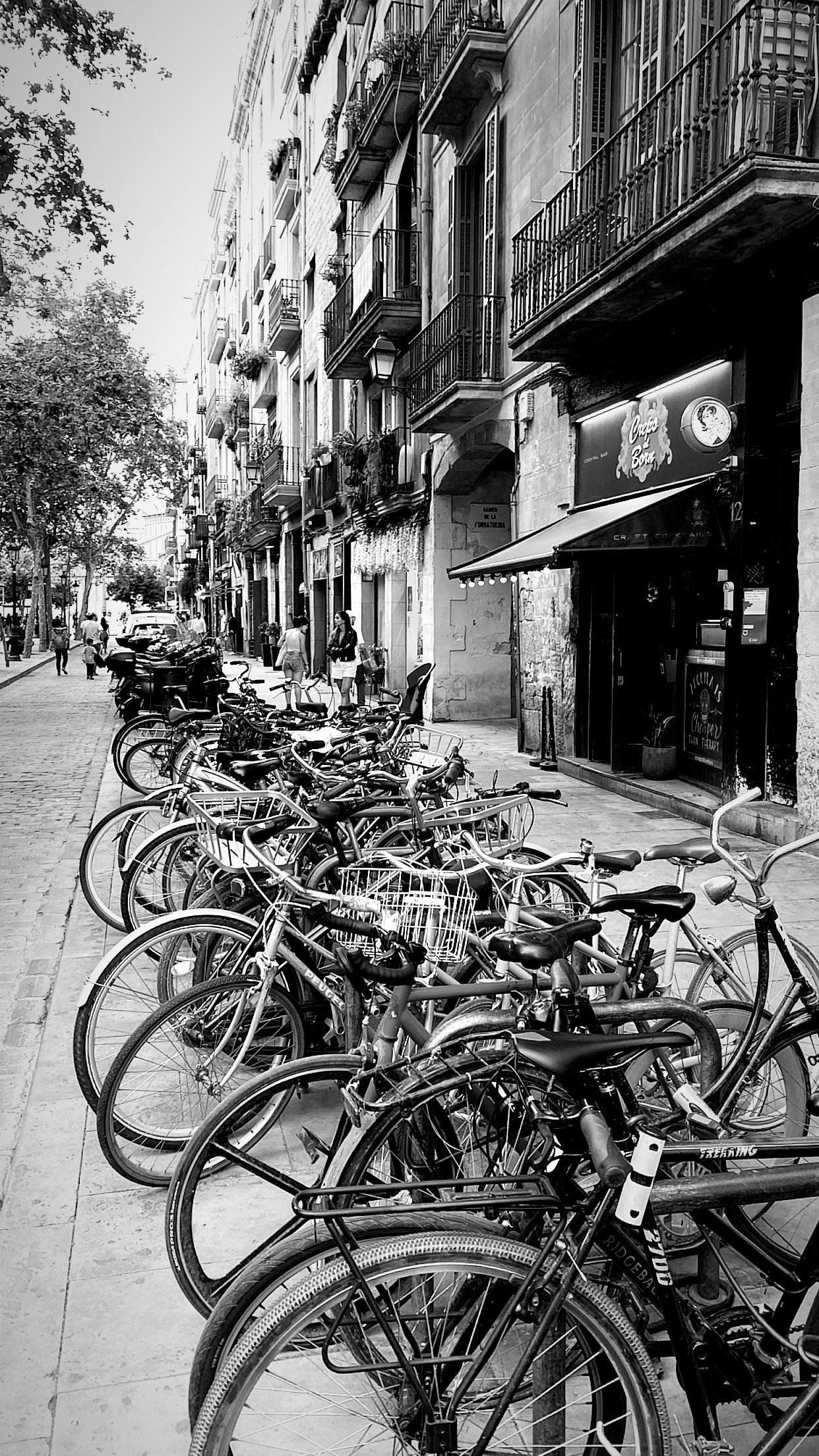 BCN black and white. Photographer Aleksandr Rybintsev