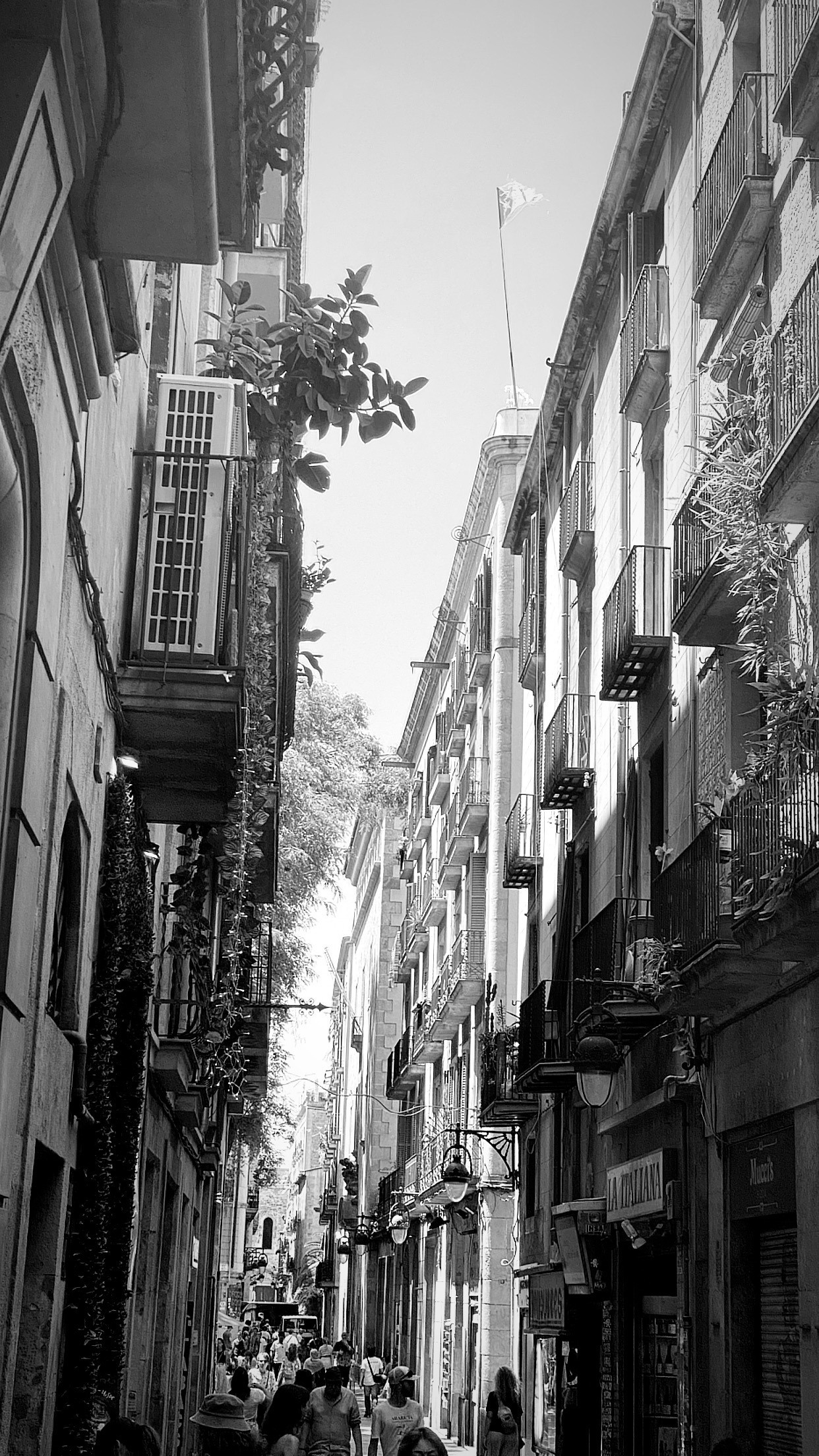 BCN black and white. Photographer Aleksandr Rybintsev