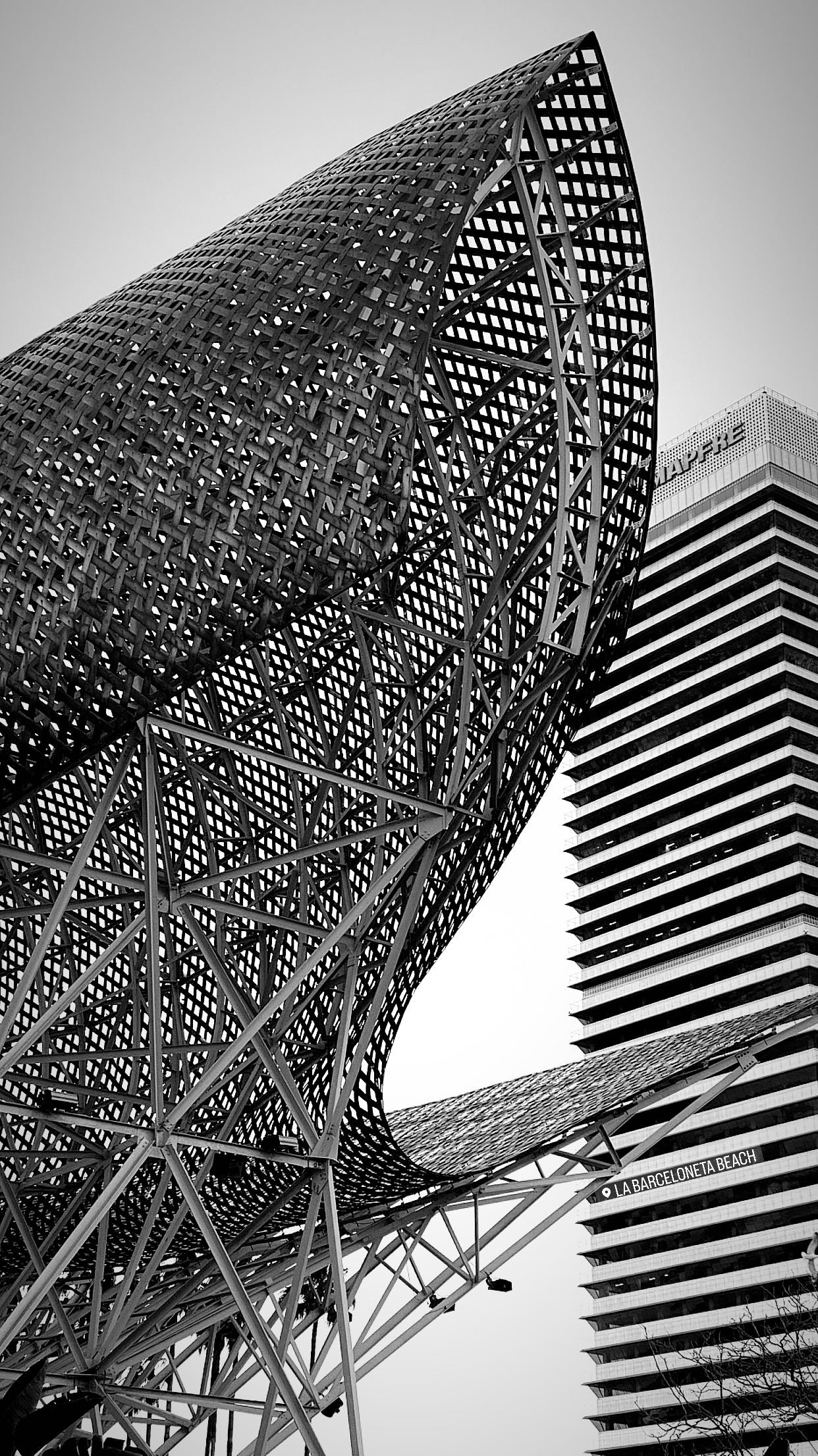 BCN black and white. Photographer Aleksandr Rybintsev