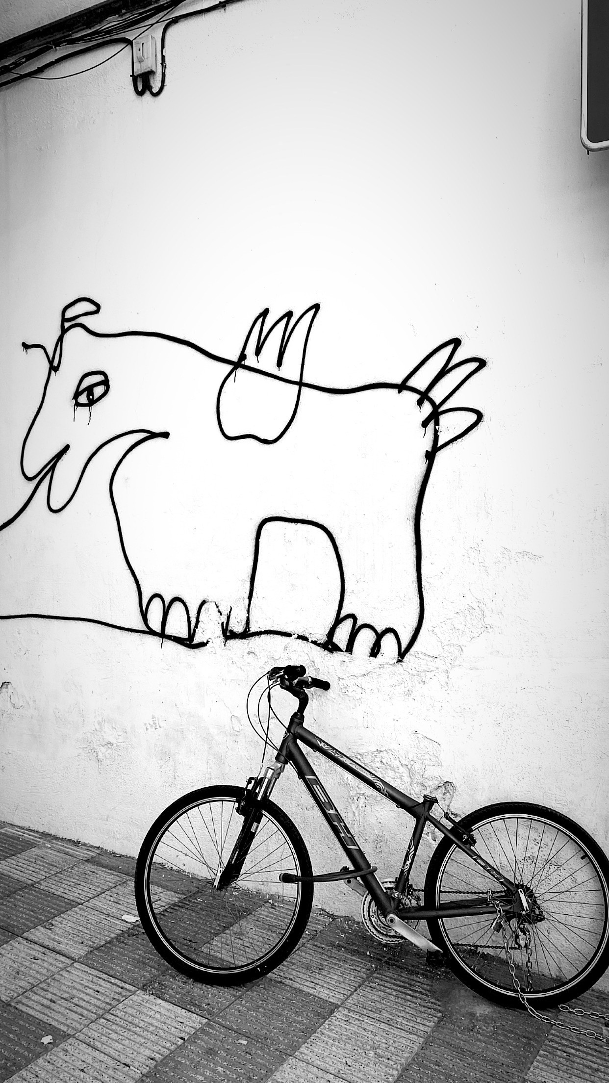 фотограф фотография Барселона Каталония fotógrafo Barcelona photographer город town catalana fotografía велосипед bicicleta