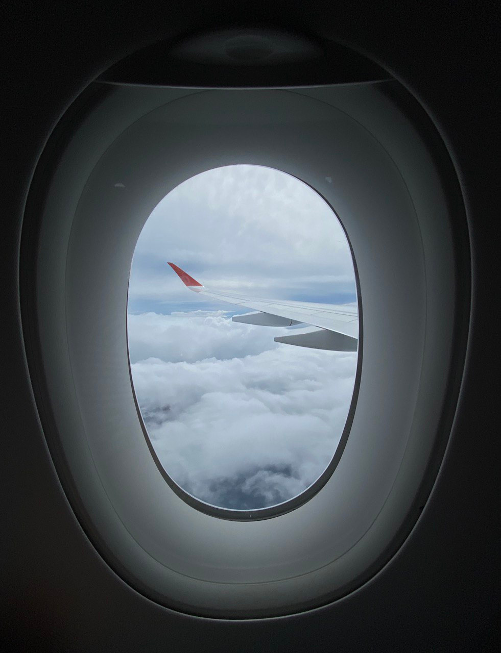 Распродажа курса: «Мобильная фотография». Алла Шевченко — продюсер — наставник