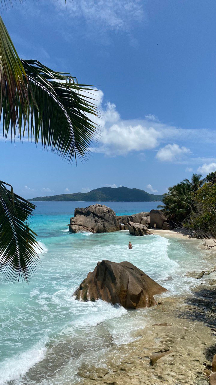 Распродажа курса: «Мобильная фотография». Алла Шевченко — продюсер — наставник