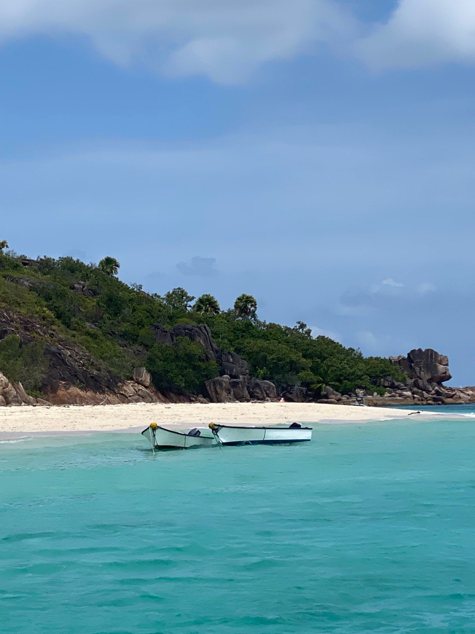 Распродажа курса: «Мобильная фотография». Алла Шевченко — продюсер — наставник